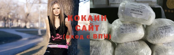 тгк Алексин
