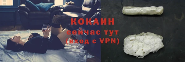 тгк Алексин