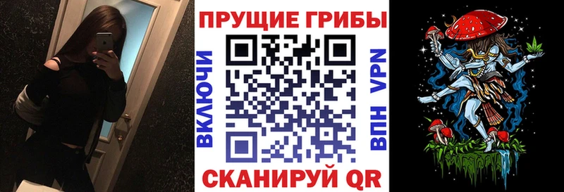 Галлюциногенные грибы прущие грибы  как найти наркотики  Петровск-Забайкальский 
